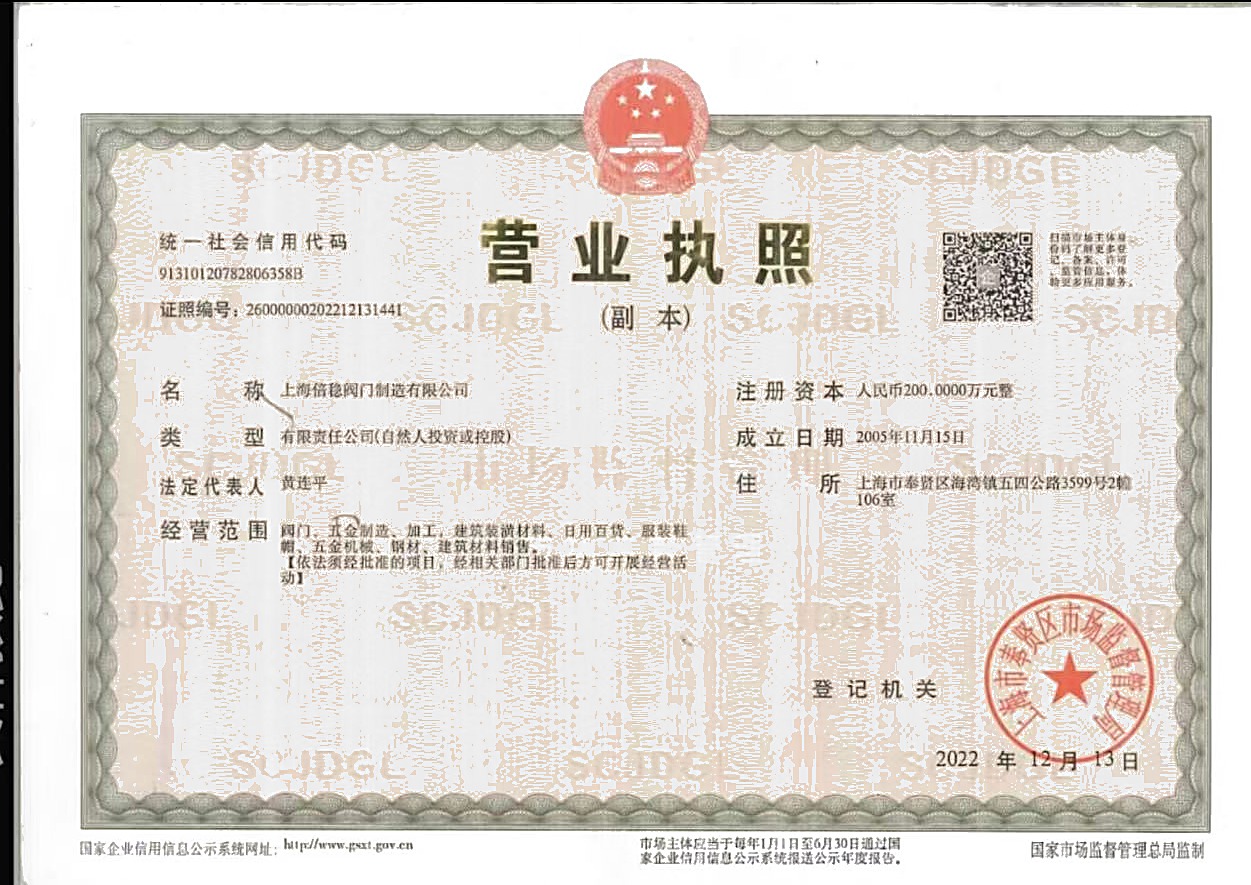 企业营业执照